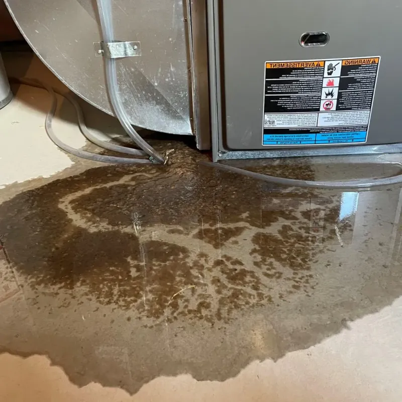 Pipe Burst and Leak Restoration in Spencer, TN