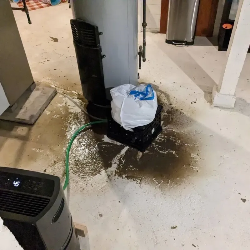 Sewage Backup Cleanup Service in Spencer, TN